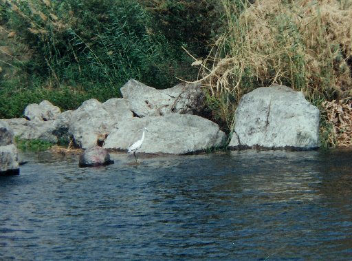 ASSOUAN - L'Ile Elphantine.