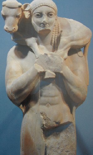 Muse d'Athnes -  ''Moscophore'' ou le kouros au veau (VIe s. av. JC).