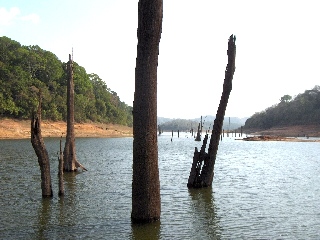 Periyar - sur le lac
