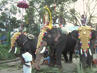 Retour  COCHIN