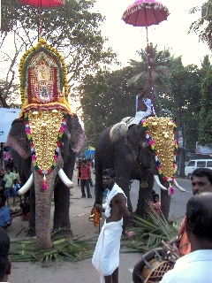 Retour  COCHIN