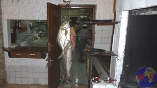 Au Baobab Café - MORONDAVA