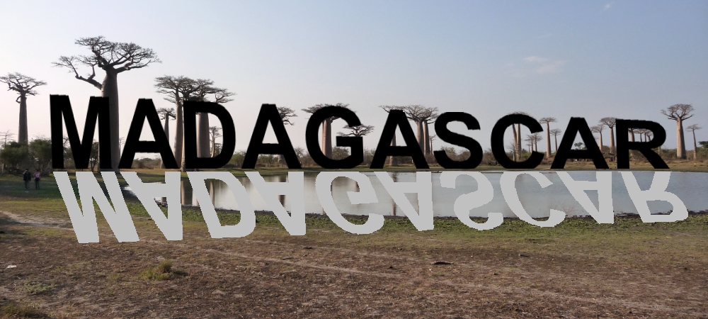 Allée des Baobabs de Morondava