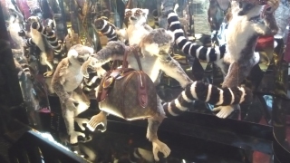 Vitirines de Noël 2012 des Galeries Lafayette