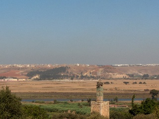 RABAT