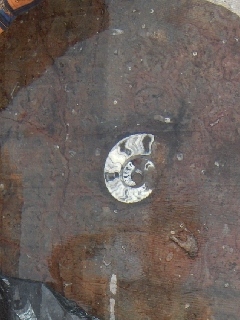 Rissani