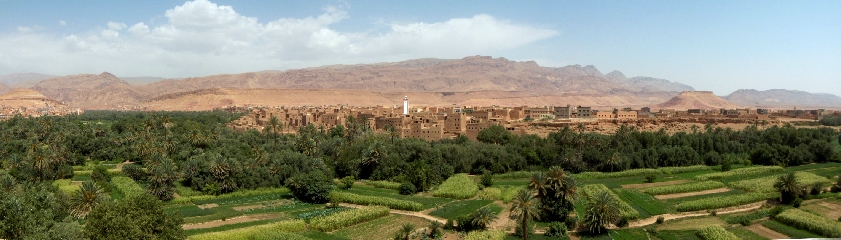 Palmeraie de Tinerhir