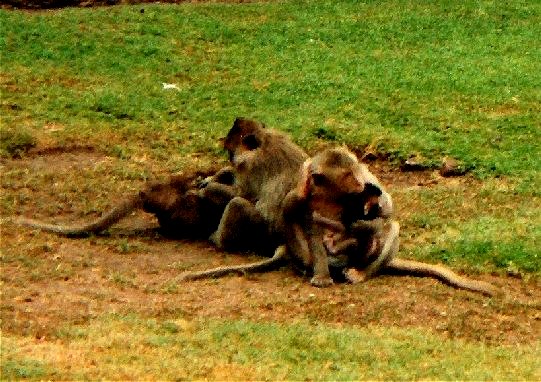 LOPBURI