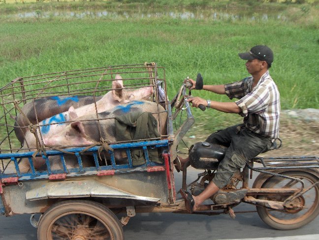 Sur la route de MY THO.